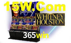 VIP Casino 365win