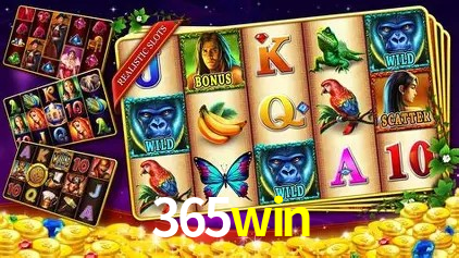 365win Brasília - Bonus Features